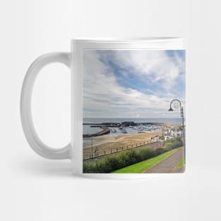 Lyme Regis Harbour from Langmoor Gardens Mug